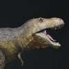 Mô hình T.rex hãng showanna studio tỷ lệ 1/35   | 𝐕𝐈𝐃𝐈𝐍𝐎.𝐕𝐍.