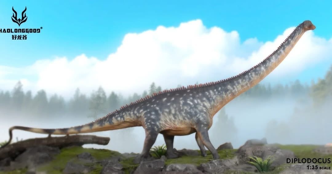  Mô hình khủng long cổ dài Diplodocus Haolonggood tỷ lệ 1/35 | 𝐕𝐈𝐃𝐈𝐍𝐎.𝐕𝐍. 