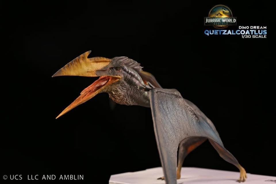  Mô hình Quetzalcoatlus Dino Dream studio. 