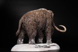  Mô hình Voi ma mút  kỷ băng Hà Mammuthus declay studio. 