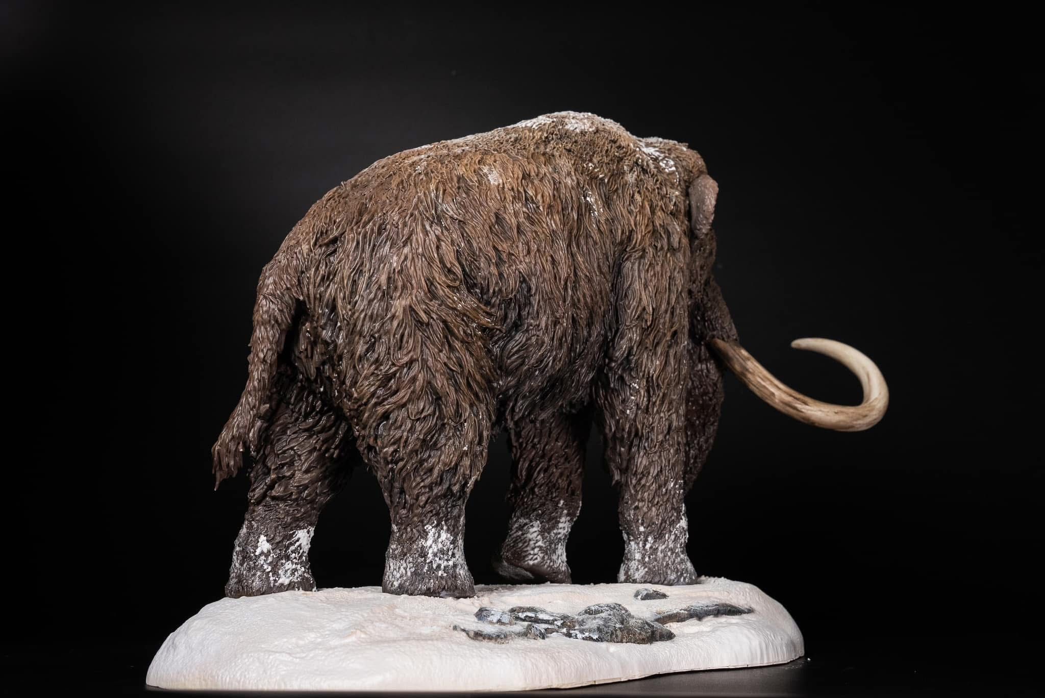  Mô hình Voi ma mút  kỷ băng Hà Mammuthus declay studio. 