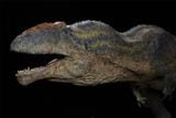  Mô hình khủng long răng cá mập Giganotosaurus Carolinii Scene Model Resin Statue By David Krentz | .. 