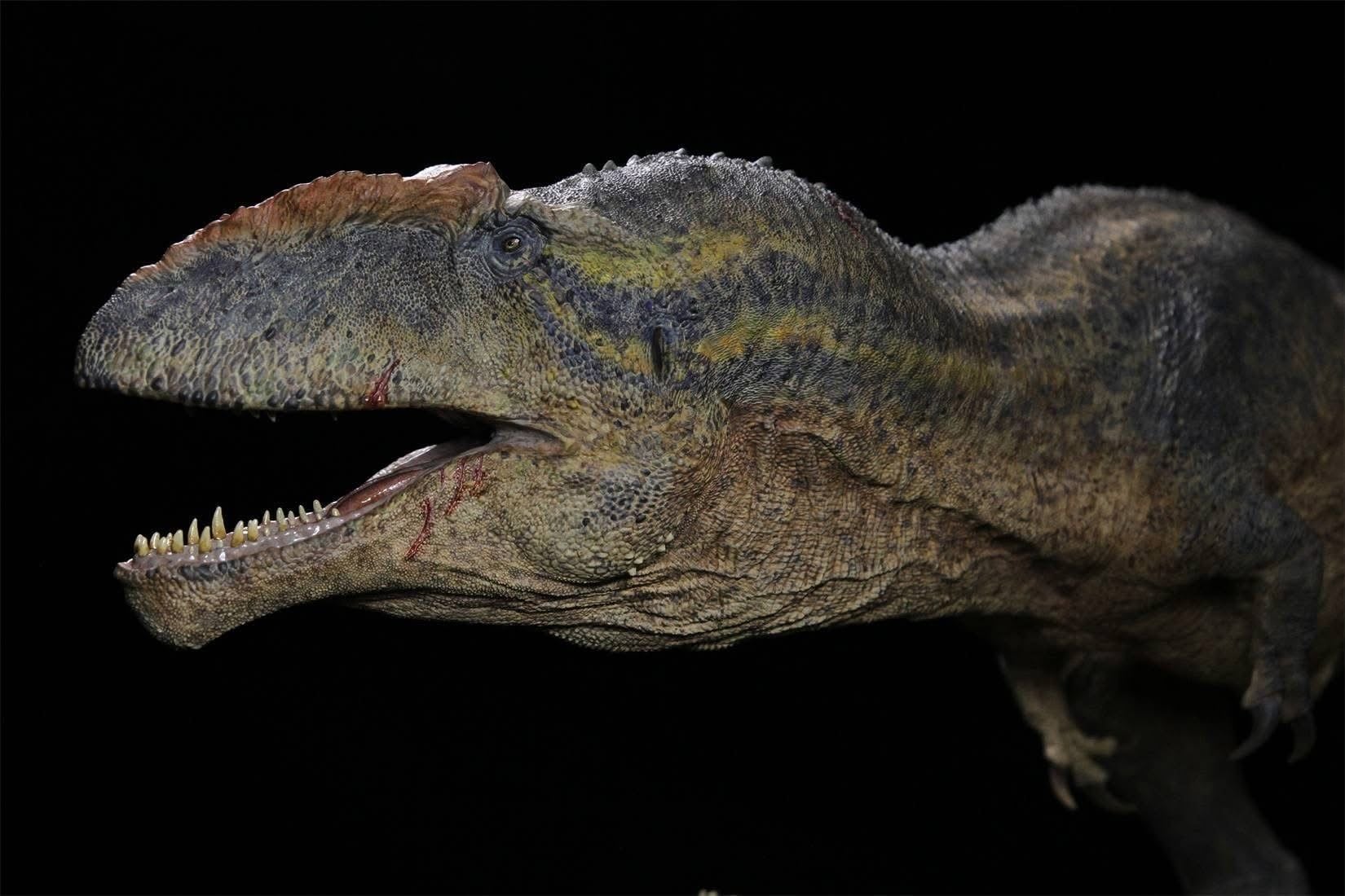  Mô hình khủng long răng cá mập Giganotosaurus Carolinii Scene Model Resin Statue By David Krentz | .. 