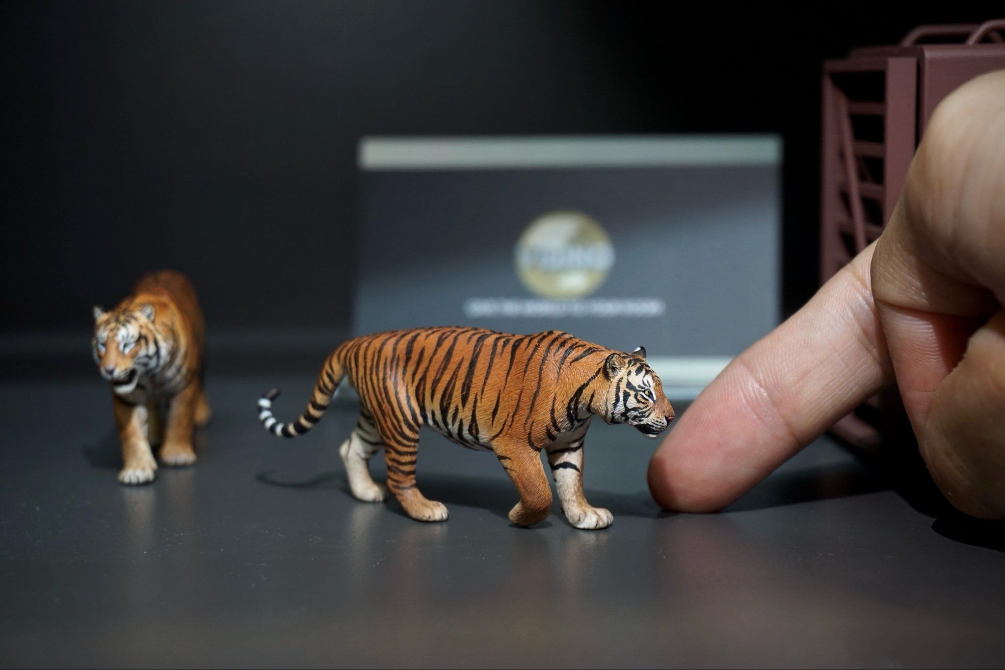  Mô hình hổ bengal, sumatra tỷ lệ 1/35 Tallrhino studio 
