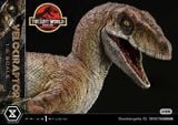  Mô hình velociraptor Jurassic Park Prime 1 studio tỷ lệ 1/6 | 𝐕𝐈𝐃𝐈𝐍𝐎.𝐕𝐍. 