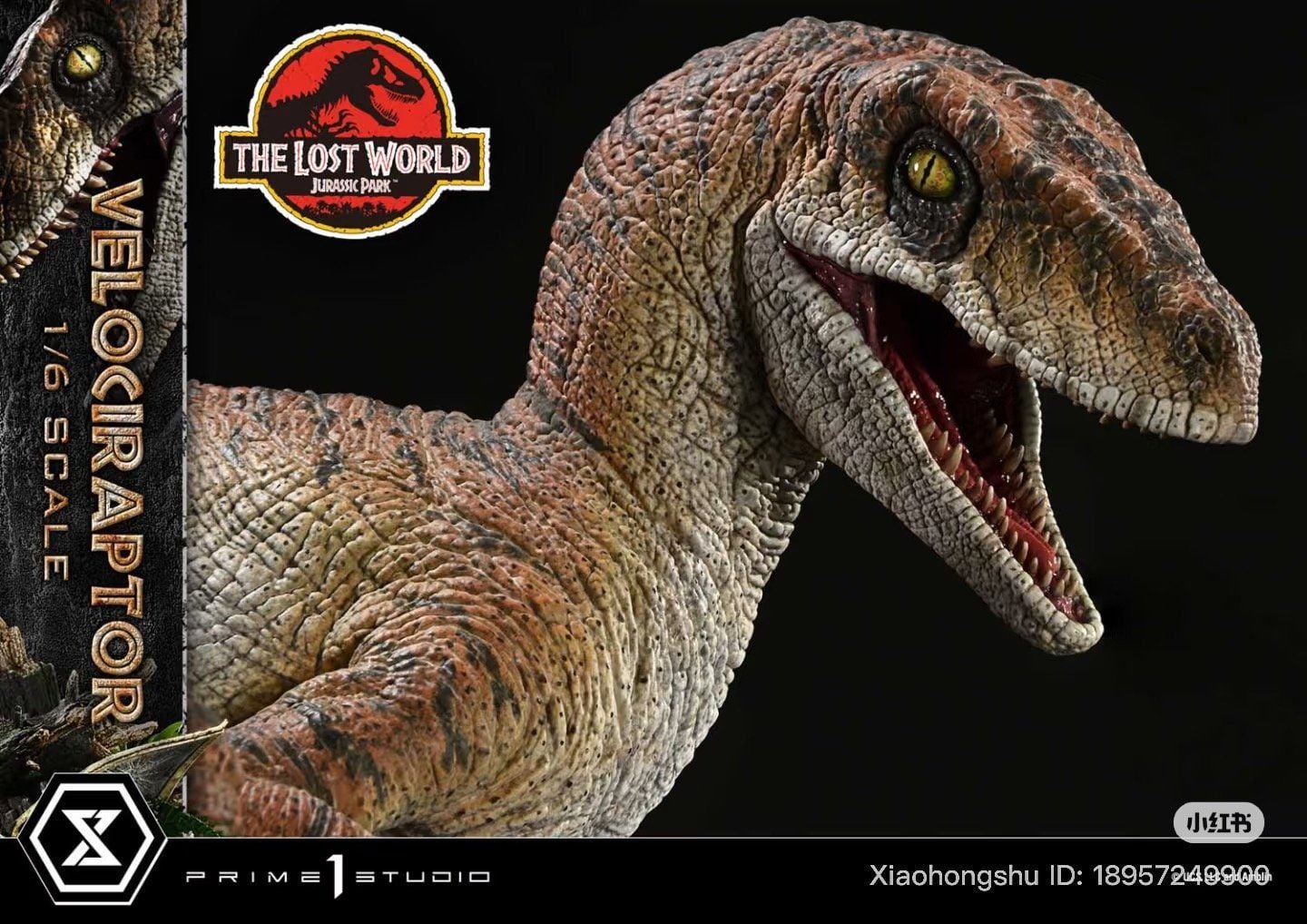  Mô hình velociraptor Jurassic Park Prime 1 studio tỷ lệ 1/6 | 𝐕𝐈𝐃𝐈𝐍𝐎.𝐕𝐍. 