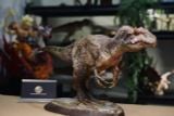  Mô hình Allosaurus sing Studio tỷ lệ 1/18. 