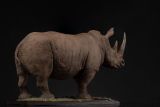  Mô hình động vật Tê giác trắng tỷ lệ 1/10 & 1/15 Declay studio. 