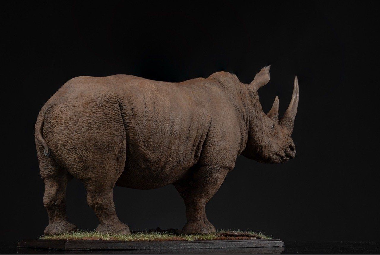  Mô hình động vật Tê giác trắng tỷ lệ 1/10 & 1/15 Declay studio. 