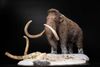 Mô hình Voi ma mút  kỷ băng Hà Mammuthus declay studio.
