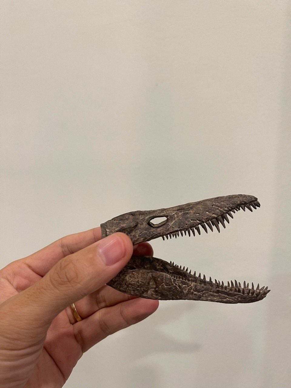  Mô hình xương Predator X By Yan tỷ lệ 1/18 | 𝐕𝐈𝐃𝐈𝐍𝐎.𝐕𝐍. 