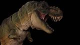  Mô hình khủng long T-rex  Ember 2.0 Nanmu Benxin tỷ lệ 1/35.  | .. 