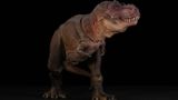  Mô hình khủng long T-rex  Ember 2.0 Nanmu Benxin tỷ lệ 1/35.  | .. 