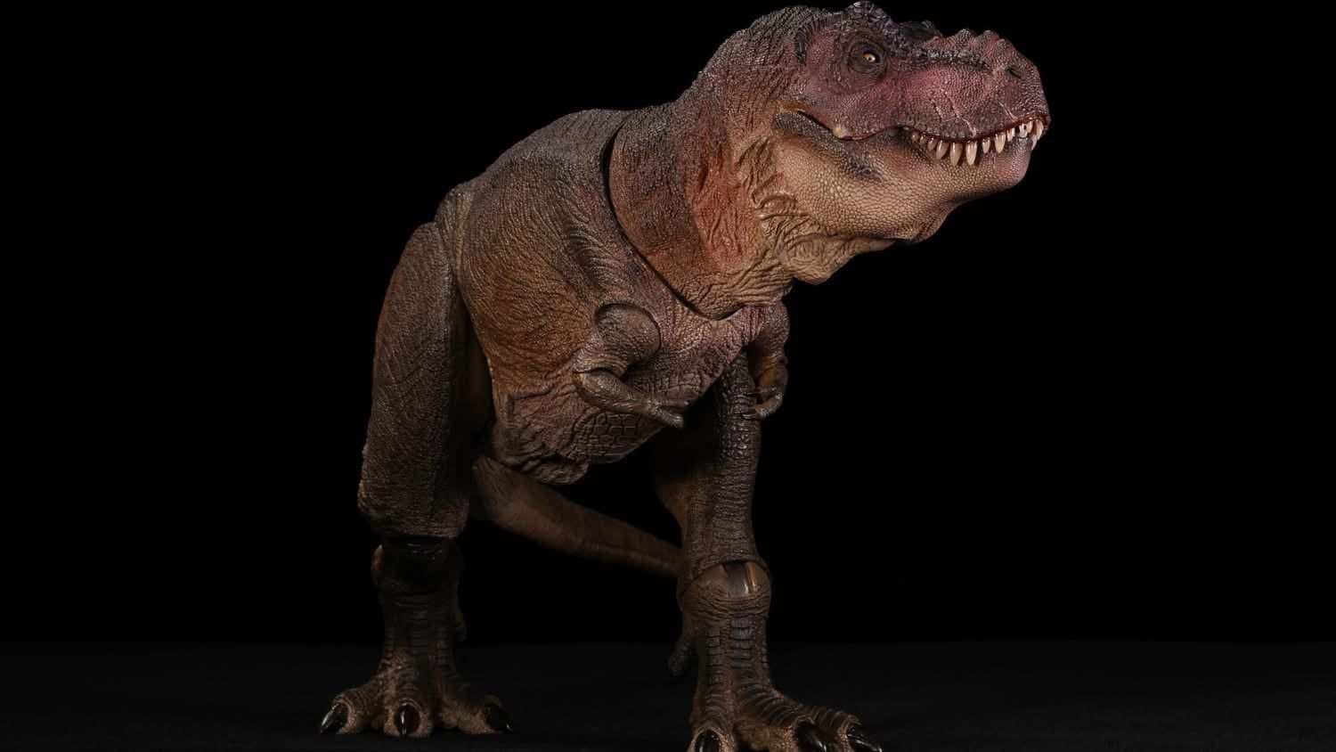  Mô hình khủng long T-rex  Ember 2.0 Nanmu Benxin tỷ lệ 1/35.  | .. 