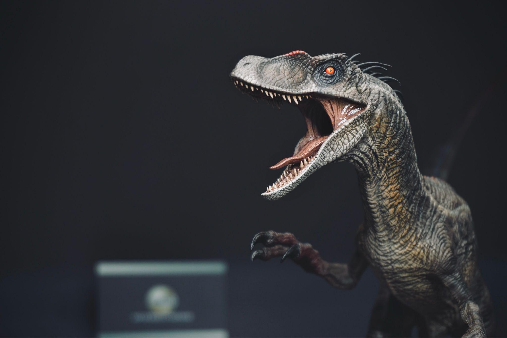  Mô hình Velociraptor wdragon studio bản quyền phim jurassic park 3. 