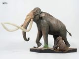  Mô hình loài mammuthus comlumbi DeClay studio tỷ lệ 1/20 & 1/35 