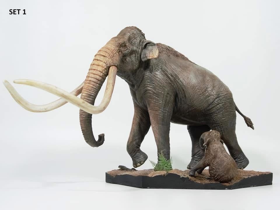  Mô hình loài mammuthus comlumbi DeClay studio tỷ lệ 1/20 & 1/35 