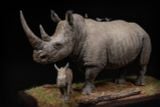  Mô hình động vật Tê giác trắng tỷ lệ 1/10 & 1/15 Declay studio. 