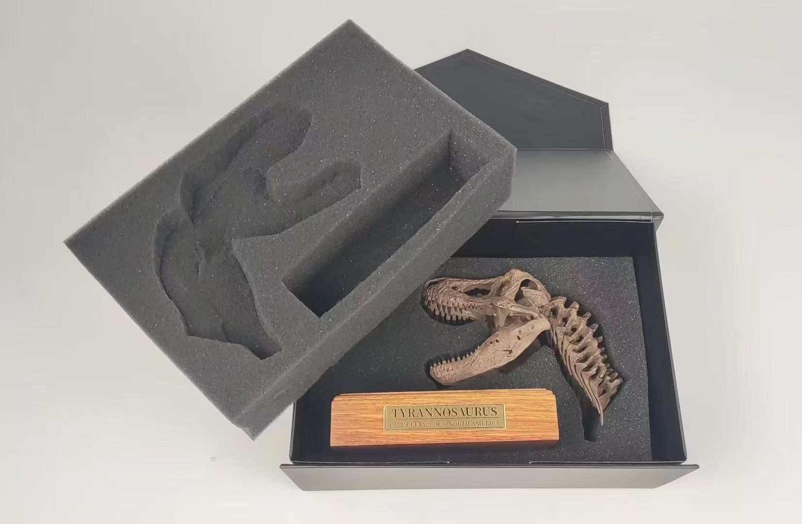  Mô hình xương Đầu trex tỷ lệ 1/18 của Mr yan. 