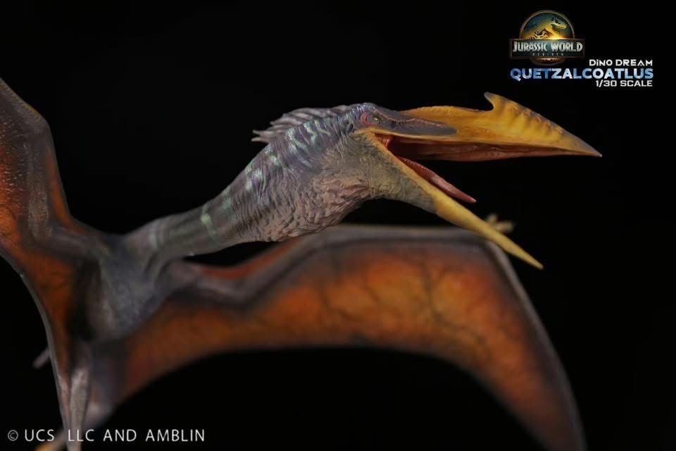  Mô hình Quetzalcoatlus Dino Dream studio. 