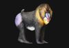  Mô hình Khỉ lớn nhất châu phi Mandrill hãng All the beasts In the World Studio  | 𝐕𝐈𝐃𝐈𝐍𝐎.𝐕𝐍. 