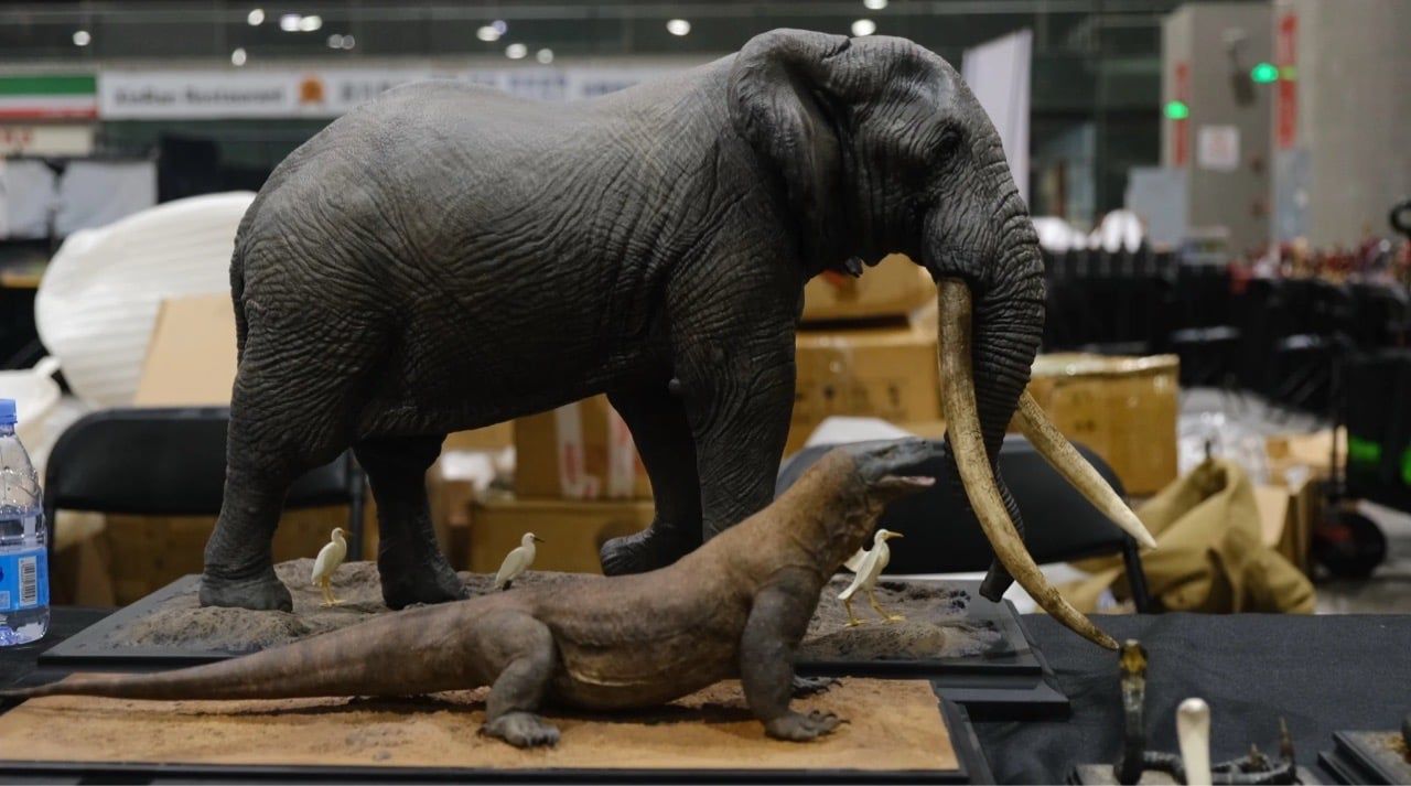  Mô hình Rồng Komodo APHID studio | 𝐕𝐈𝐃𝐈𝐍𝐎.𝐕𝐍. 