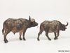  Mô hình Trâu rừng châu phi cape buffalo - Wanshou studio. 