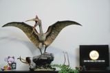  Mô hình loài quetzalcoatlus Musee studio tỷ lệ 1/10. 