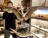  Mô hình loài quetzalcoatlus Musee studio tỷ lệ 1/10. 