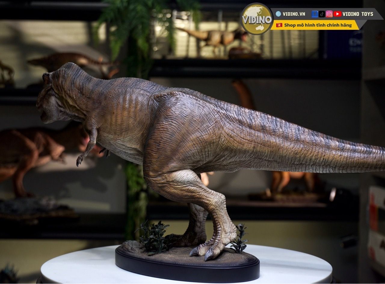  Mô hình khủng long bạo chúa Tyranosaurus rex (Trex) Wdragon 1/20 Jurassic Park. 