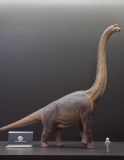  Mô hình Khủng long Brachiosaurus Wdragon studio 1:35. 