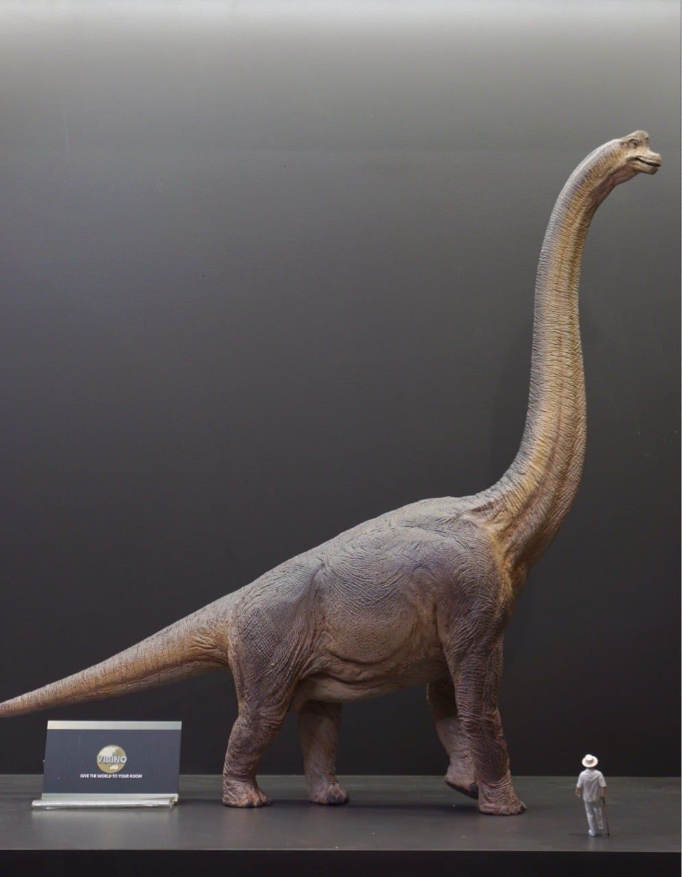  Mô hình Khủng long Brachiosaurus Wdragon studio 1:35. 