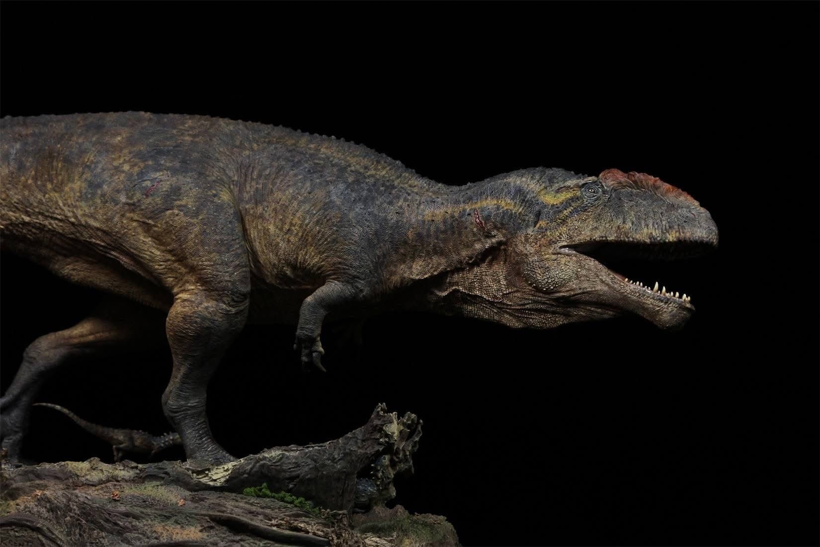  Mô hình khủng long răng cá mập Giganotosaurus Carolinii Scene Model Resin Statue By David Krentz | .. 