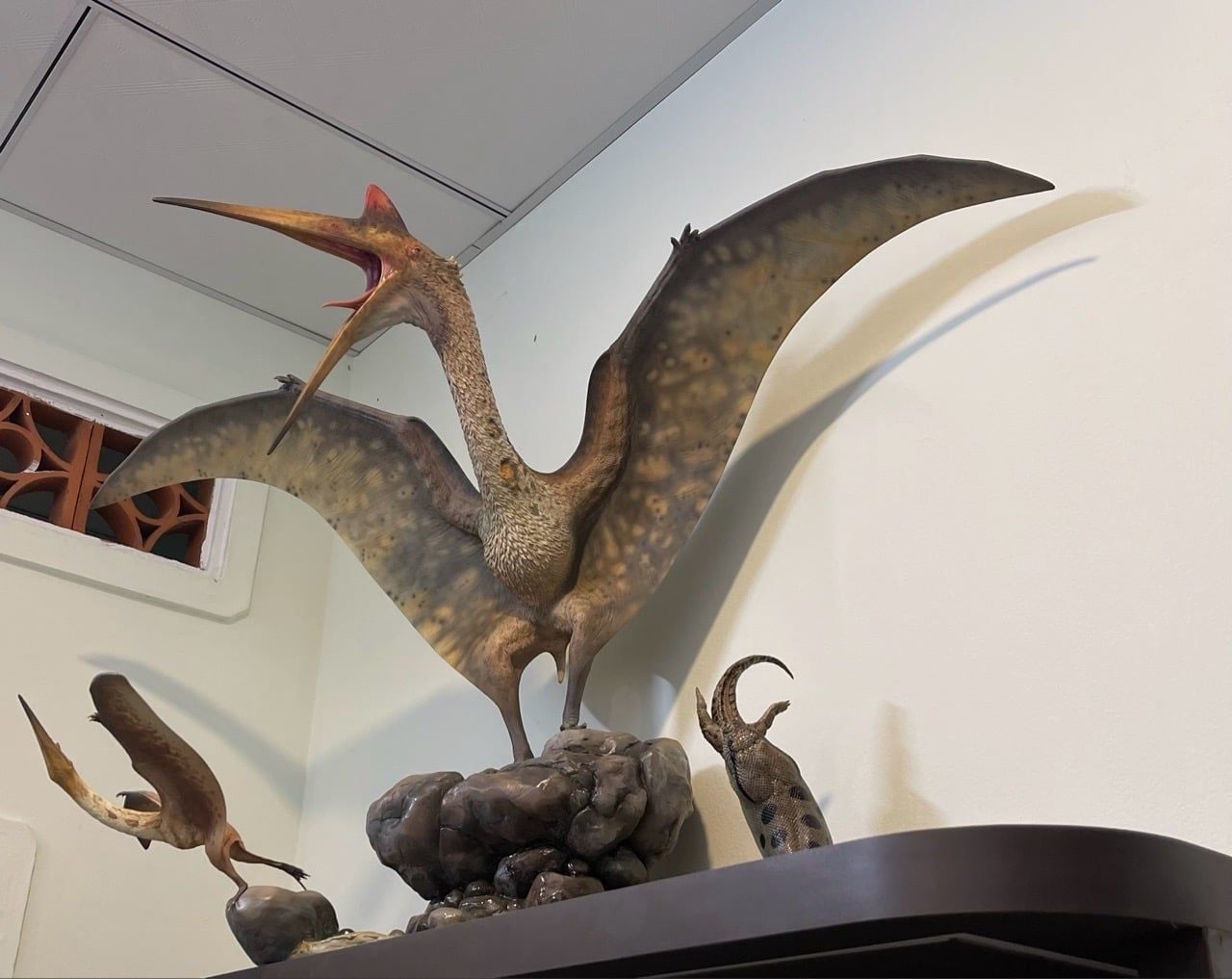  Mô hình loài quetzalcoatlus Musee studio tỷ lệ 1/10. 