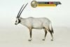  Mô hình Linh dương Sừng kiếm Ả rập  Oryx Leucoryx chính hãng Tall Rhino Studio| .. 