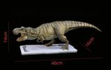  Mô hình siêu phẩm Trex (Tyranosaurus rex) Rebirth Dino Dream studio tỷ lệ 1/30-1/35  | 𝐕𝐈𝐃𝐈𝐍𝐎.𝐕𝐍. 