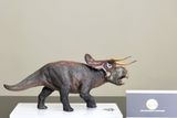  Mô hình Nasutoceratops tỷ lệ 1/35 hãng Dino Dream studio. 