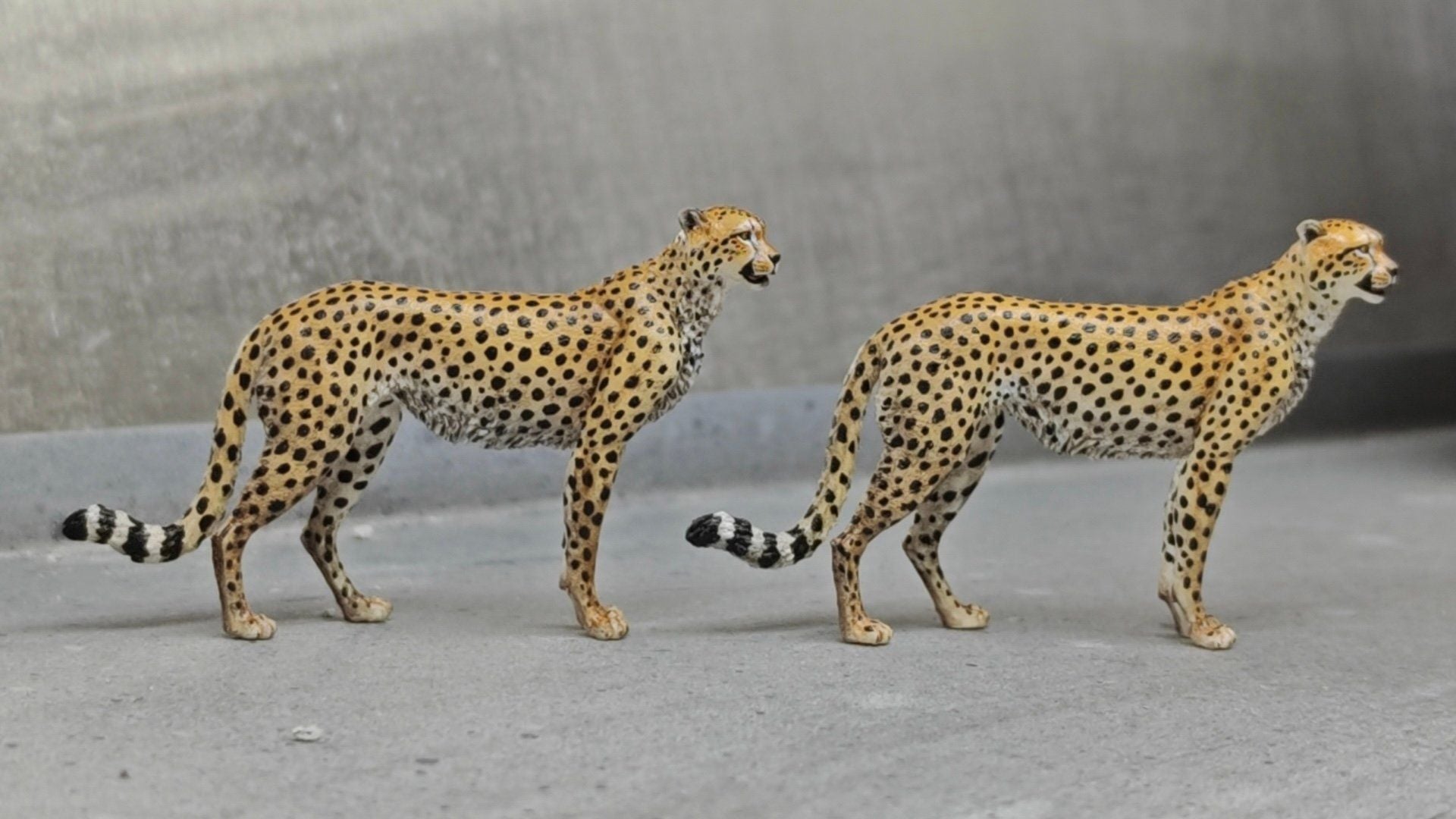  Mô hình báo săn Cheetah tỷ lệ 1/35 