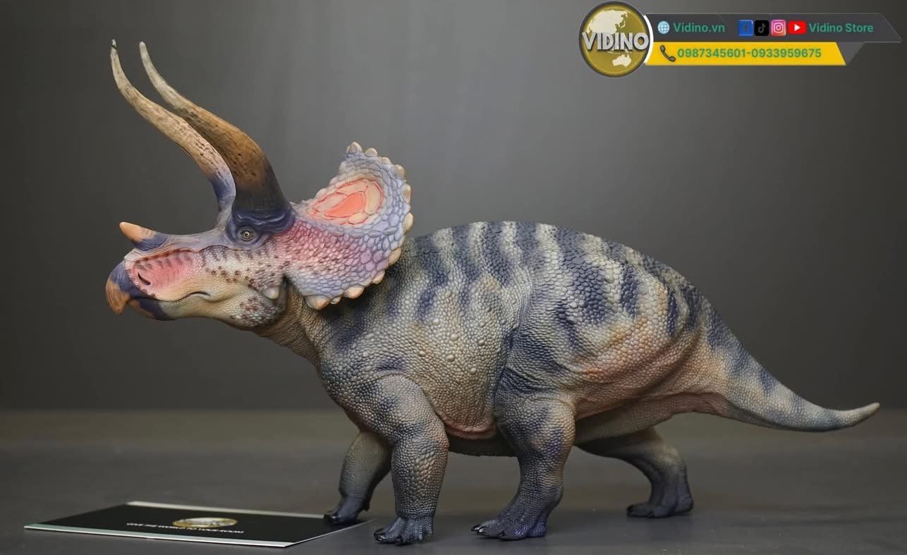  Mô hình Triceratops 1/35 Haolonggood studio. 