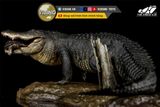  Mô hình cá sấu mỹ (American Alligator) The Crocs Man studio | .. 