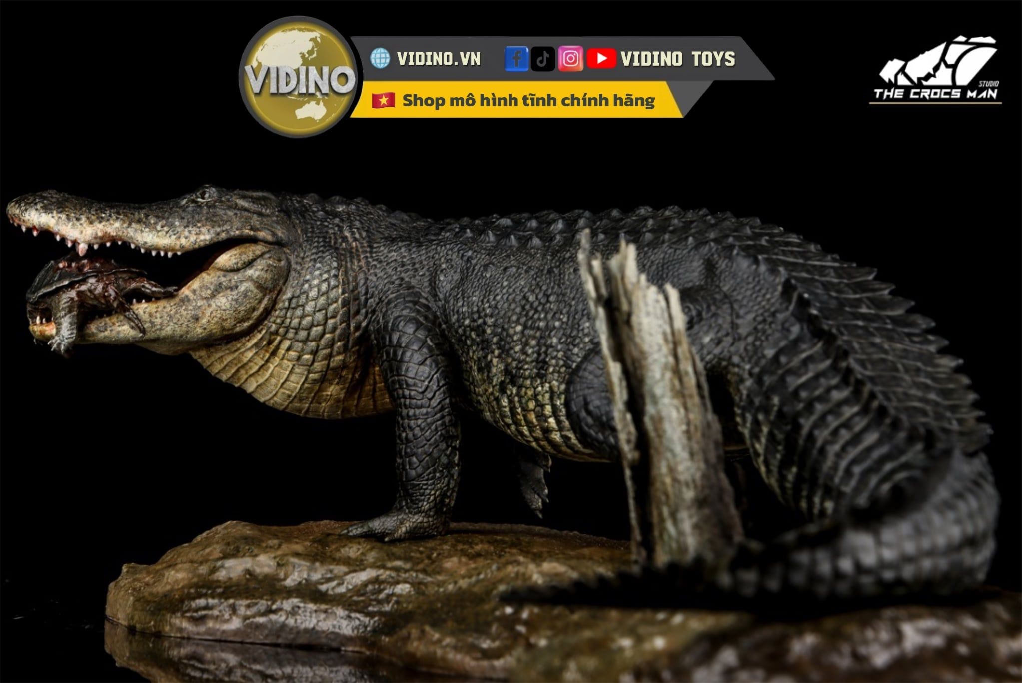  Mô hình cá sấu mỹ (American Alligator) The Crocs Man studio | .. 