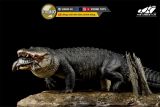  Mô hình cá sấu mỹ (American Alligator) The Crocs Man studio | .. 