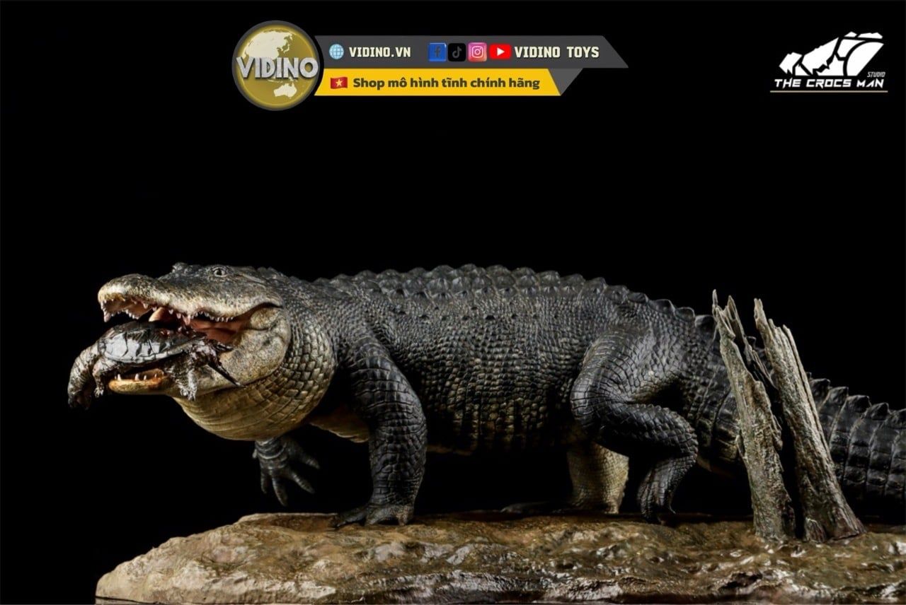  Mô hình cá sấu mỹ (American Alligator) The Crocs Man studio | .. 