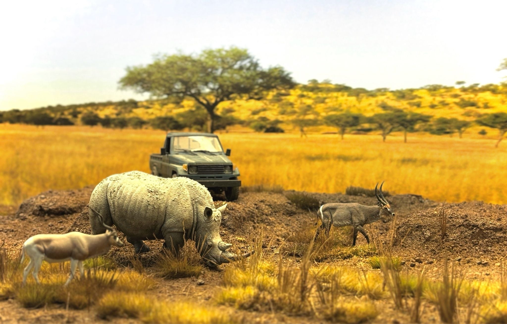  Mô hình động vật tê giác trắng hunting studio tỷ lệ 1/35. 