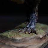  Mô hình Trex ReGina Mundi 2.0 tỷ lệ 1/35 | 𝐕𝐈𝐃𝐈𝐍𝐎.𝐕𝐍. 