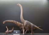  Mô hình Khủng long Brachiosaurus Wdragon studio 1:35. 