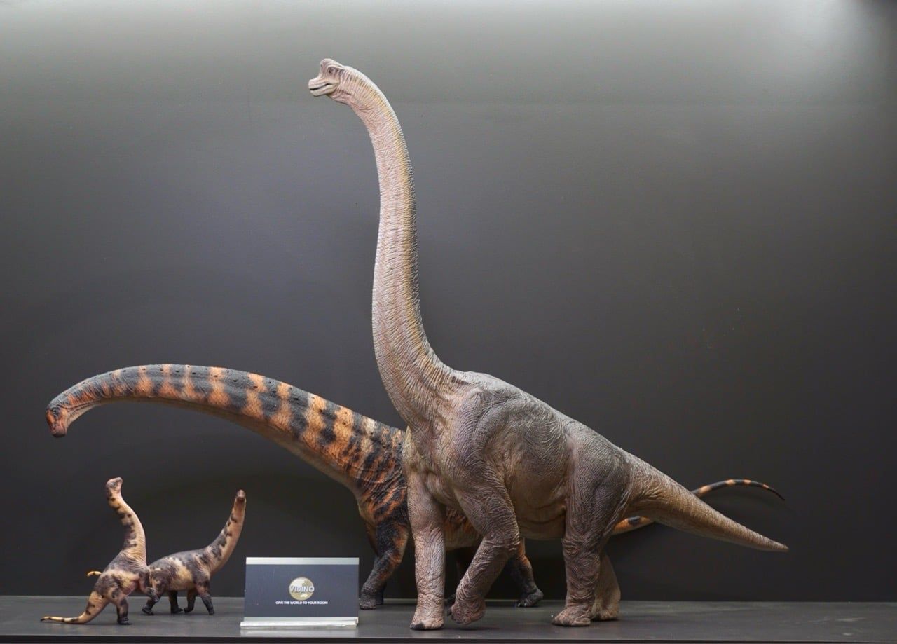  Mô hình Khủng long Brachiosaurus Wdragon studio 1:35. 