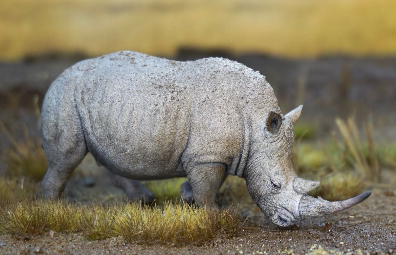  Mô hình động vật tê giác trắng hunting studio tỷ lệ 1/35. 