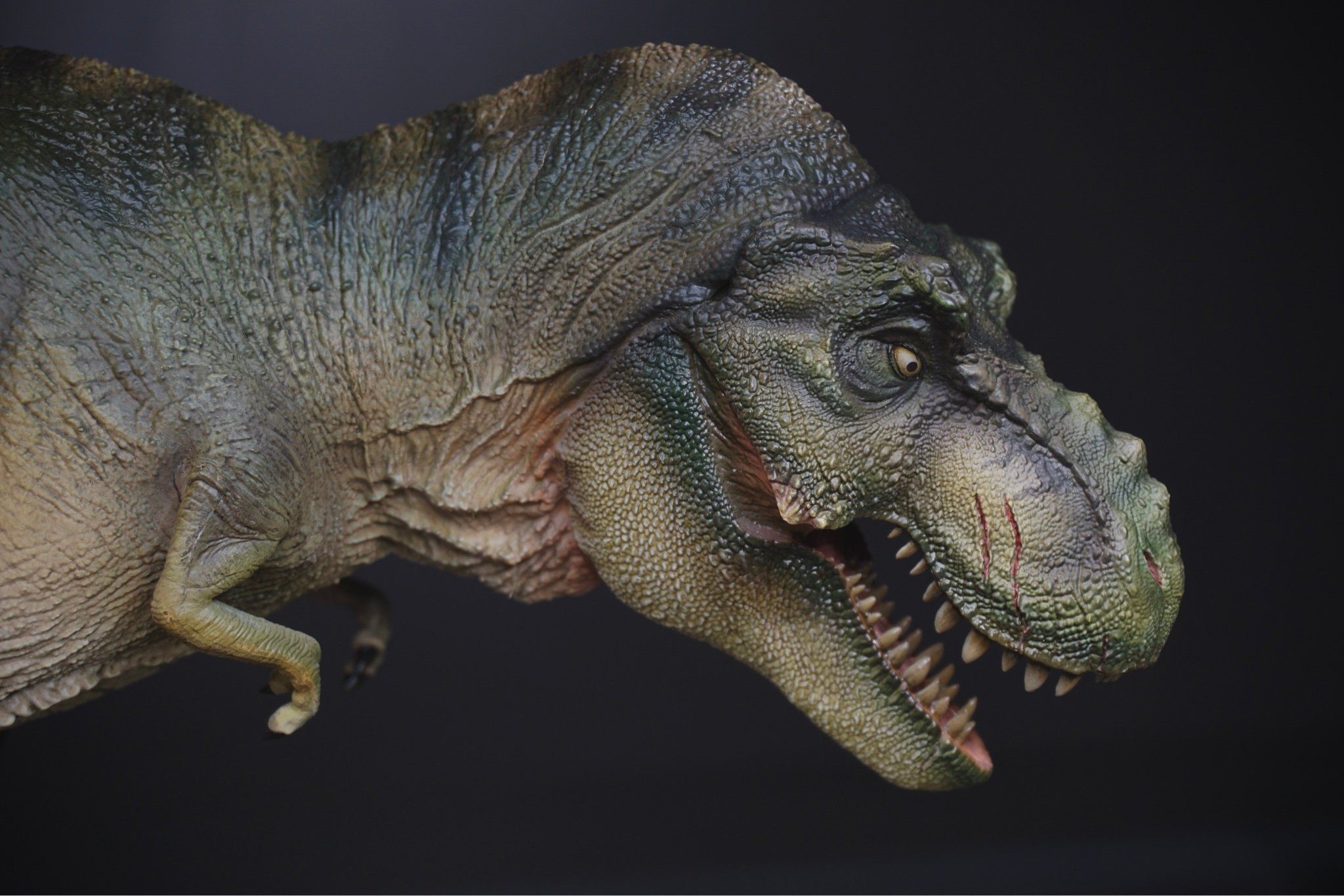  Mô hình Tyranosaurus rex Prime 1 studio 1/38. 