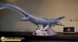  Mô hình Mosasaurus Wdragon 1/35. 